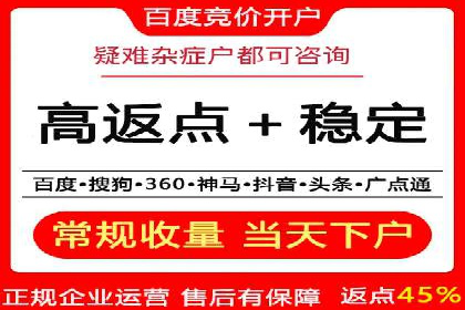 竞价SEM助力电商平台快速提升流量